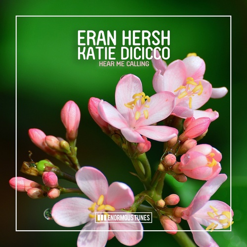 Eran Hersh, Katie DiCicco - Hear Me Calling [ETR586]